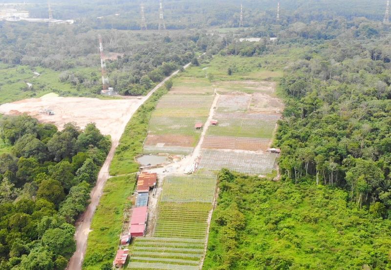 INDUSTRIAL LAND (MEDIUM, 16 ACRES) NEAR PORT OF TANJUNG PELEPAS (PTP), HIGH POTENTIAL F0R INVESMENT, ISKANDAR MALAYSIA, JOHOR