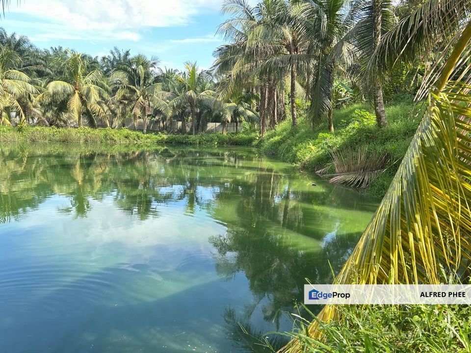 Plentong Agriculture Land For Sale, Johor, Johor Bahru