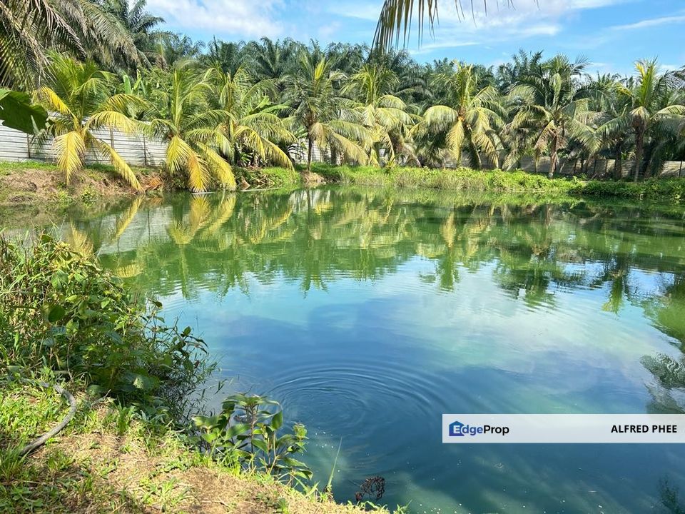 Plentong Agriculture Land For Sale, Johor, Johor Bahru