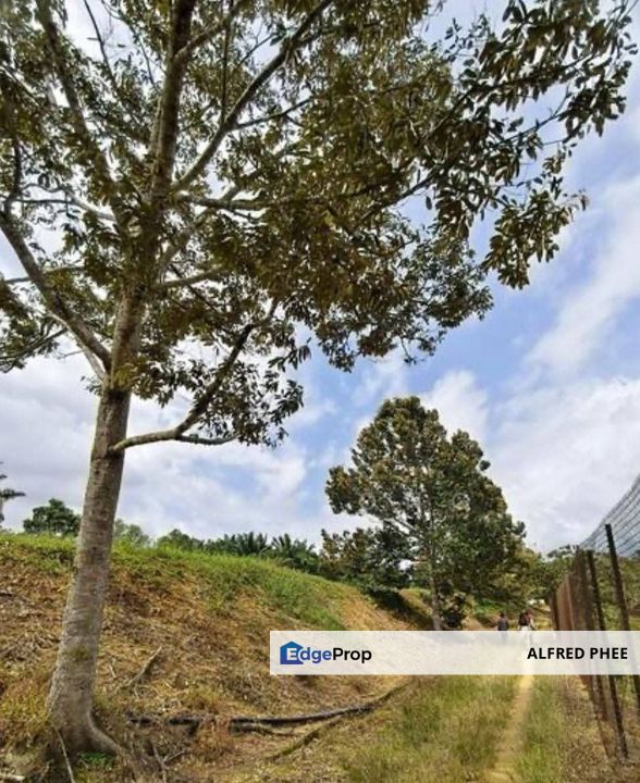 Kota Tinggi Mawai Land 83 acres For Sale, Johor, Johor, Kota Tinggi