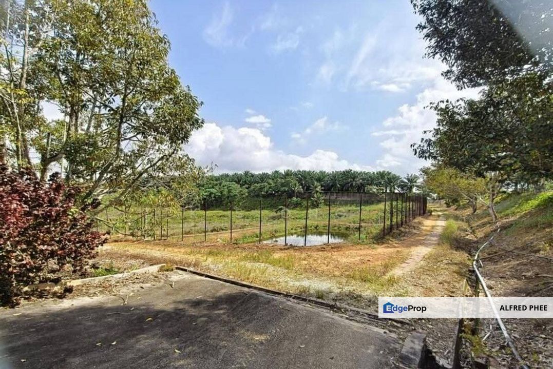 Kota Tinggi Mawai Land 83 acres For Sale, Johor, Johor, Kota Tinggi