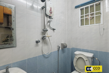 Thompson Pines Impiana Bougainvillea