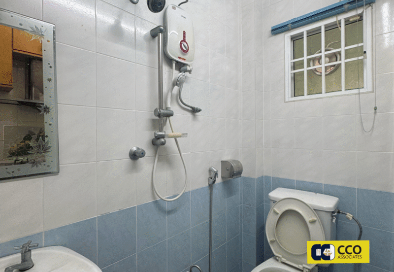 Thompson Pines Impiana Bougainvillea