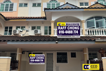 Thompson Pines Impiana Bougainvillea