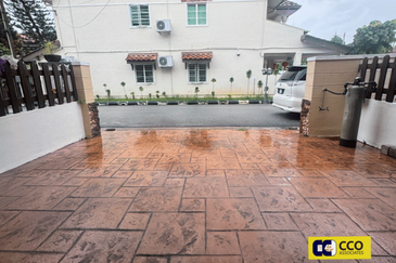 Thompson Pines Impiana Bougainvillea