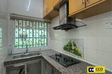 Thompson Pines Impiana Bougainvillea