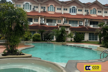 Thompson Pines Impiana Bougainvillea