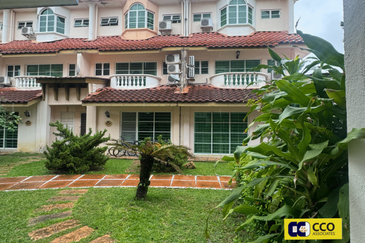 Thompson Pines Impiana Bougainvillea