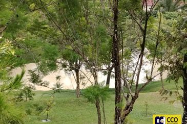 BUKIT KINDING ORCHARDS