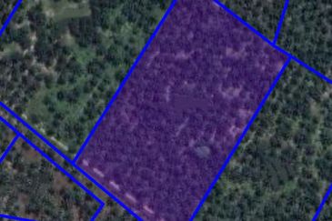 Bukit Kelicap Agricultural Land 