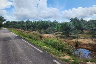 Parit Raja Parit Samijan Agricultural Land 