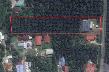 Jalan Bindu-Agricultural Land