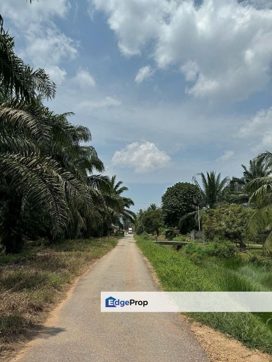 Jalan Bindu-Agricultural Land, Johor, Batu Pahat