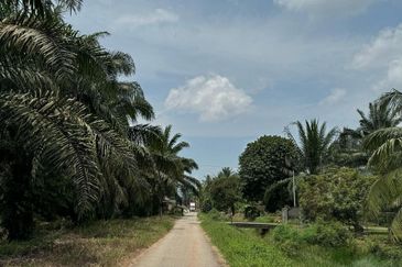 Jalan Bindu-Agricultural Land