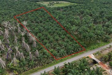 Parit Semarang Agricultural Land 