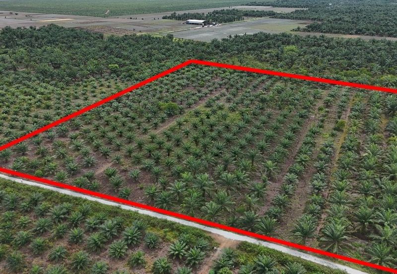 Parit Sibor Agricultural Land 