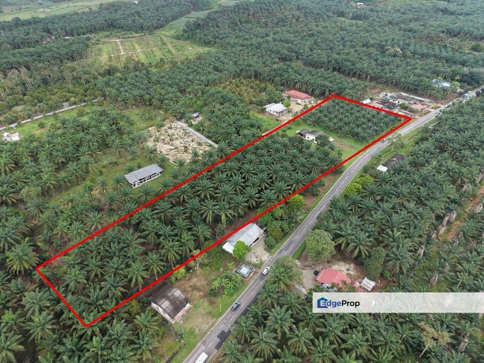 Jalan Bindu Agricultural Land , Johor, Batu Pahat