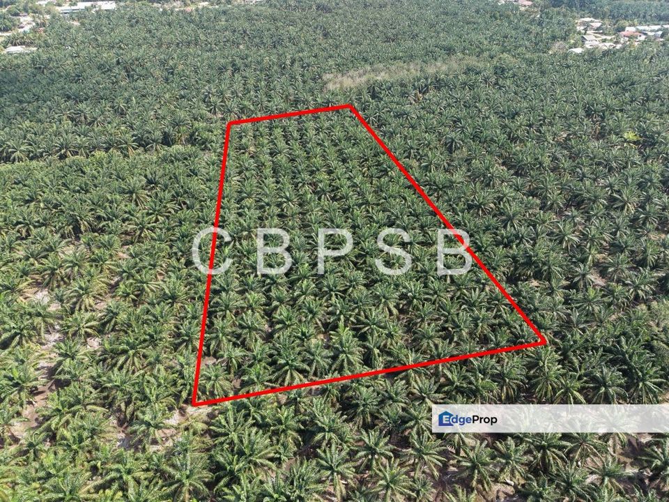 Parit Puasa Agricultural Land, Johor, Batu Pahat