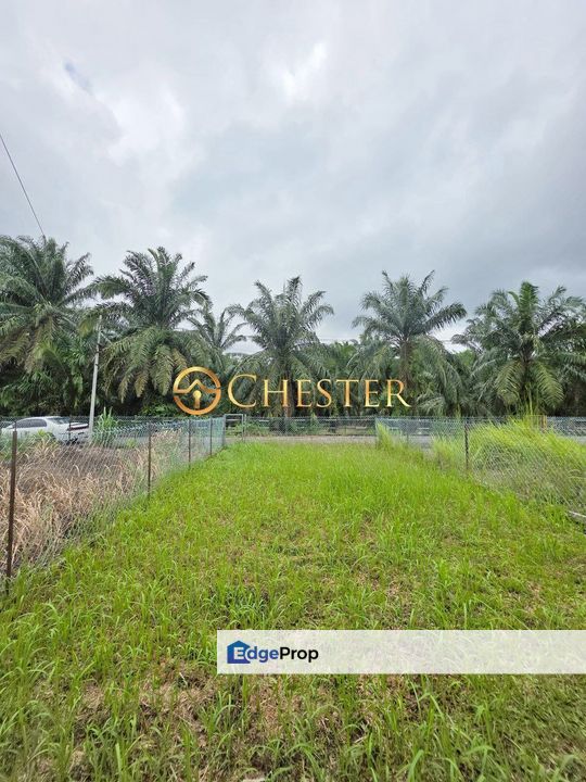 Single Storey Terrace 22' x 124', Johor, Batu Pahat