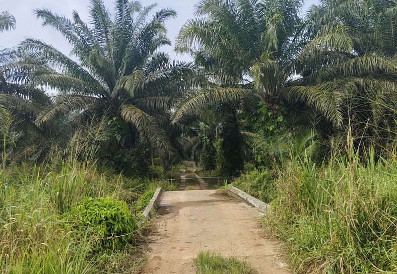 Taman Harmoni, Parit Sulong