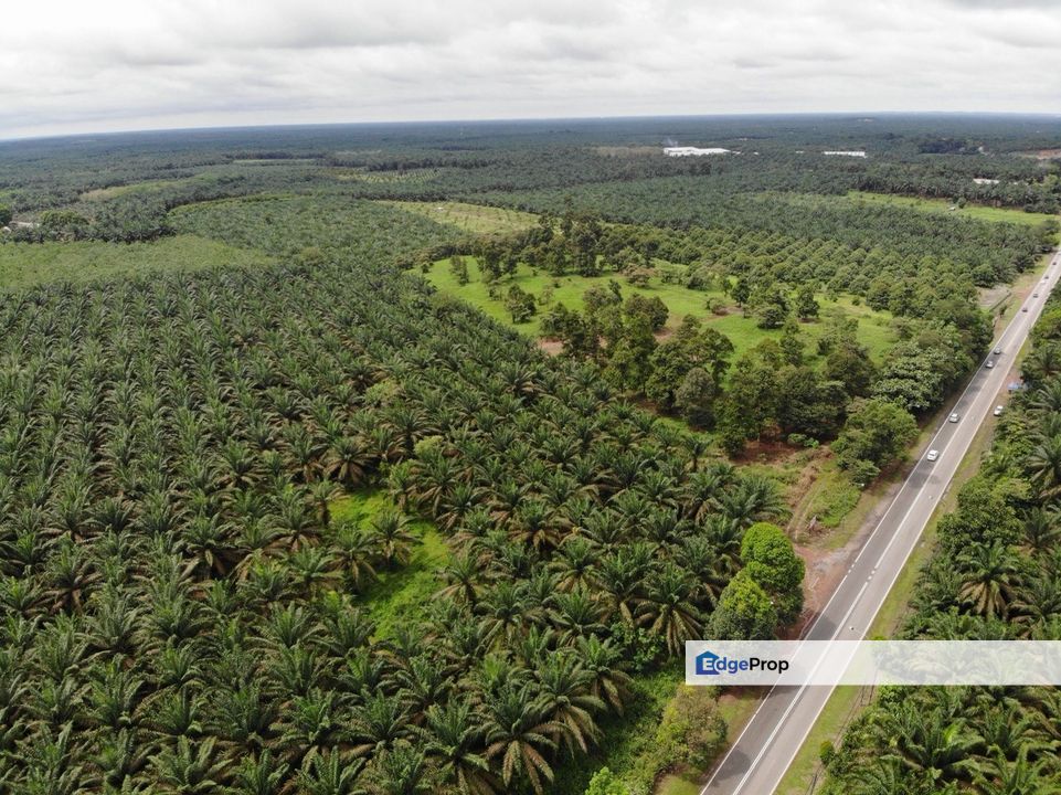 Yong Peng Potential Commercial Land for Sale Beside Main Road near Toll, Johor, Yong Peng