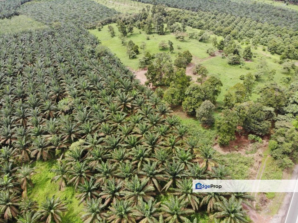 Yong Peng Potential Commercial Land for Sale Beside Main Road near Toll, Johor, Yong Peng