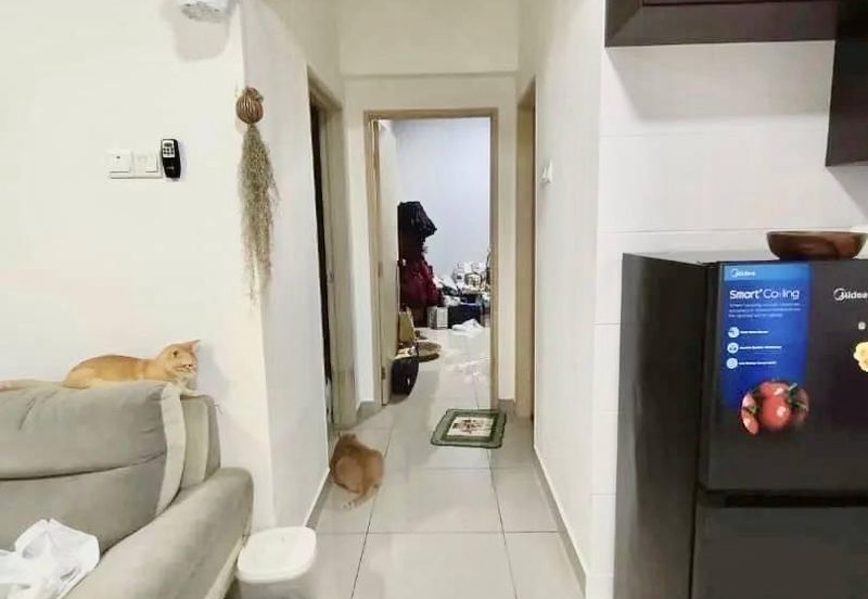 The Arc At Austin Hill