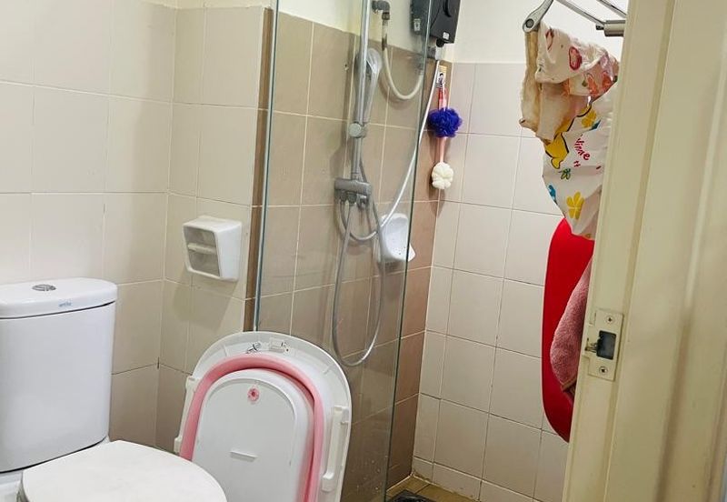 Penaga @ Taman Raintree