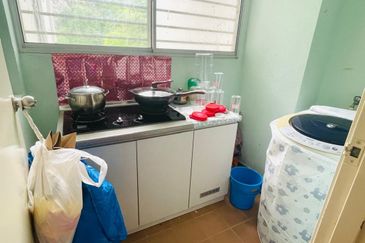 Penaga @ Taman Raintree