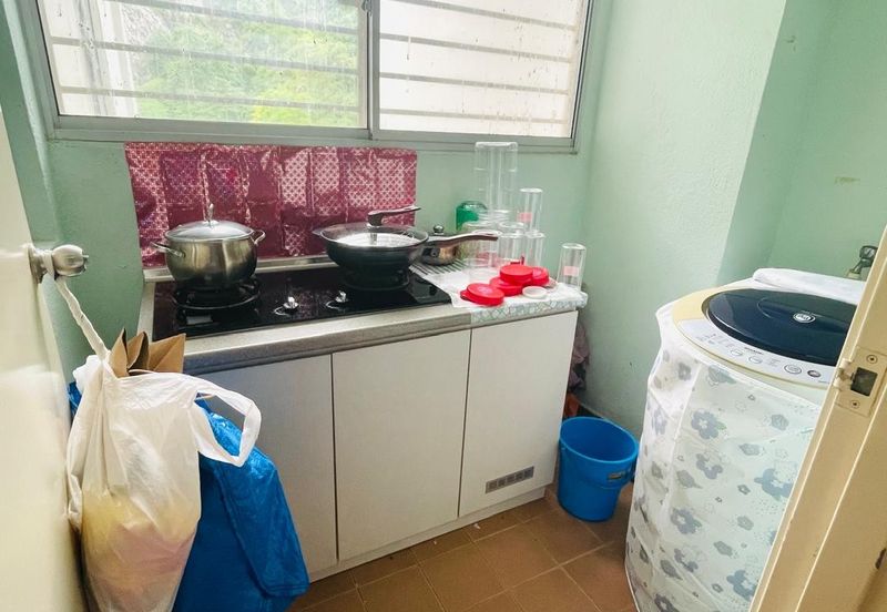 Penaga @ Taman Raintree