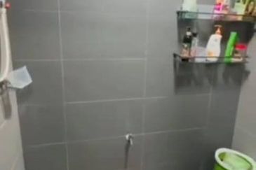  1 Storey @ Taman Kobena/ Jalan Rantai/ Tampoi/ Renovate