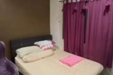  1 Storey @ Taman Kobena/ Jalan Rantai/ Tampoi/ Renovate