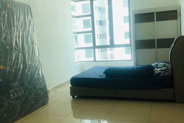 Tree Sparina @ Ideal Vision Park