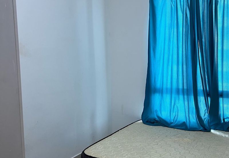 Tree Sparina @ Ideal Vision Park