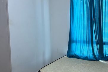 Tree Sparina @ Ideal Vision Park