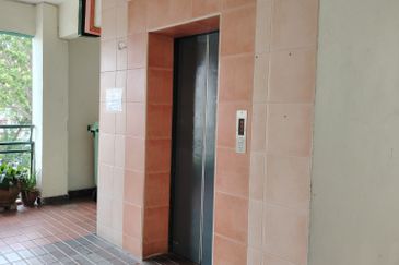 City Garden Orchid Court