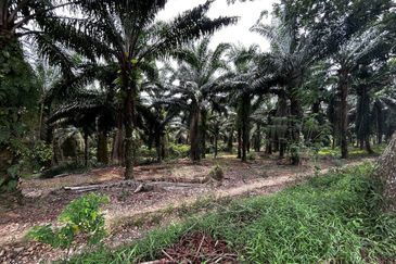 Tanah Pembangunan Komersial - Jasin, Melaka. Hot Area. Town Central