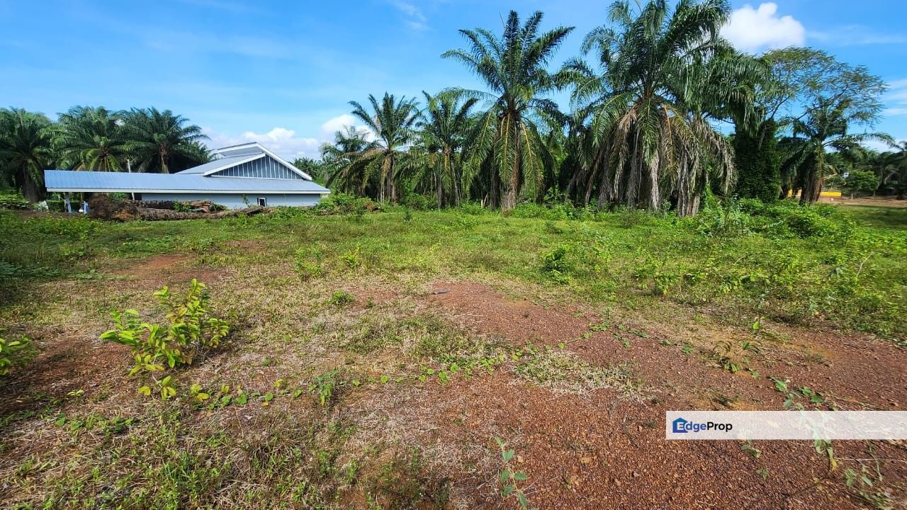 Kampung Tersusun Melaka Pindah | Alor Gajah, Melaka | 5900 sq ft Tanah Lot Kediaman | Leasehold Open Lot | Rumah, Homestay & Kebun, Melaka, 