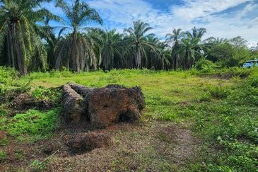 KAMPUNG TERSUSUN MELAKA PINDAH F III