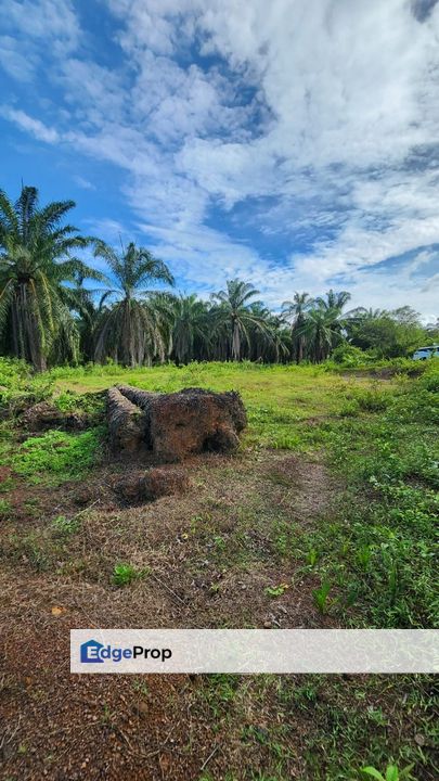 Kampung Tersusun Melaka Pindah | Alor Gajah, Melaka | 5900 sq ft Tanah Lot Kediaman | Leasehold Open Lot | Rumah, Homestay & Kebun, Melaka, 
