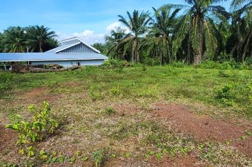 KAMPUNG TERSUSUN MELAKA PINDAH F III