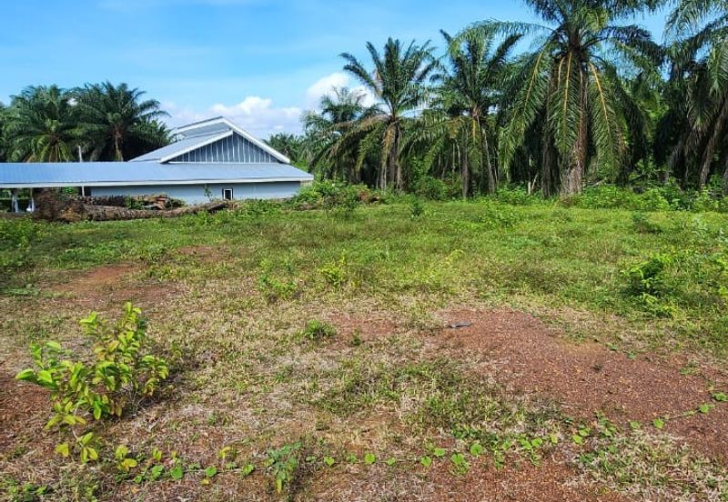 KAMPUNG TERSUSUN MELAKA PINDAH F III
