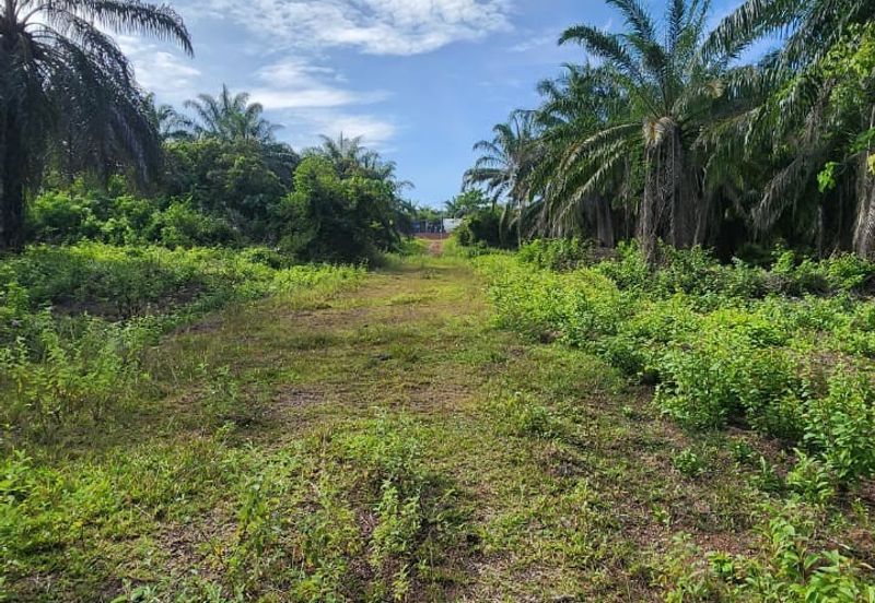 KAMPUNG TERSUSUN MELAKA PINDAH F III