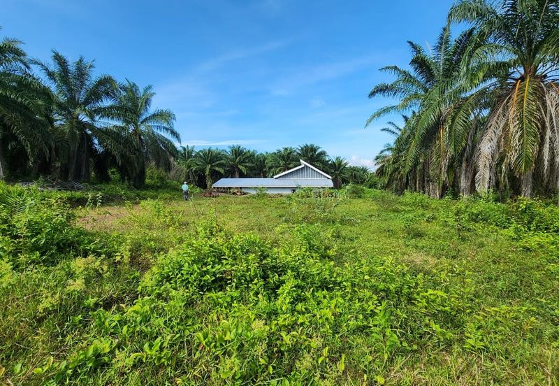 KAMPUNG TERSUSUN MELAKA PINDAH F III