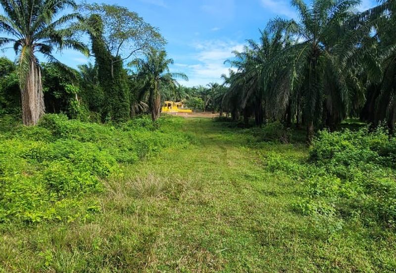 KAMPUNG TERSUSUN MELAKA PINDAH F III