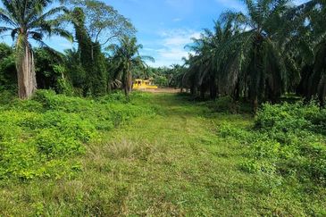 KAMPUNG TERSUSUN MELAKA PINDAH F III