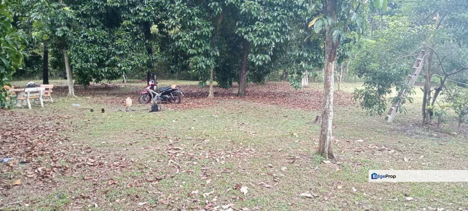 Machang Hilir | Lenggeng, Negeri Sembilan | Tanah Pertanian, Freehold, Rezab Melayu | Dusun Durian & Buah-buahan Matang!, Negeri Sembilan, Seremban