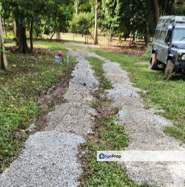 Machang Hilir | Lenggeng, Negeri Sembilan | Tanah Pertanian, Freehold, Rezab Melayu | Dusun Durian & Buah-buahan Matang!, Negeri Sembilan, Seremban