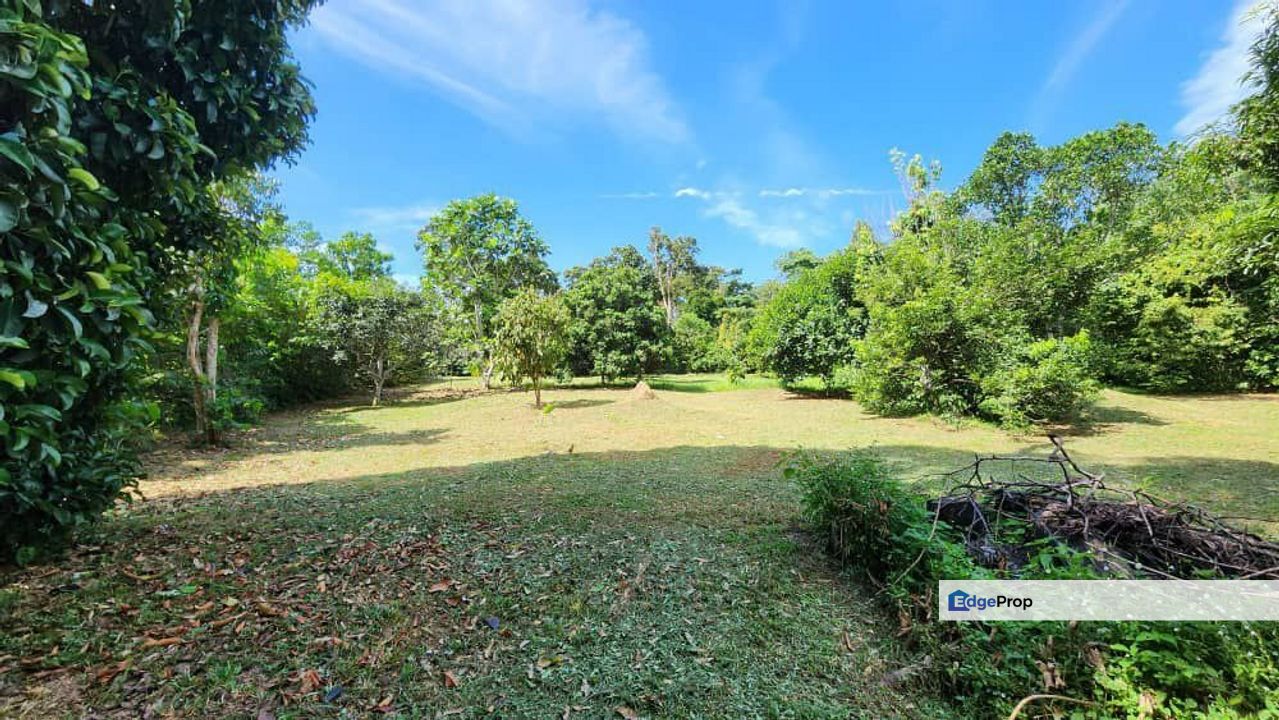 Machang Hilir | Lenggeng, Negeri Sembilan | Tanah Pertanian, Freehold, Rezab Melayu | Dusun Durian & Buah-buahan Matang!, Negeri Sembilan, Seremban