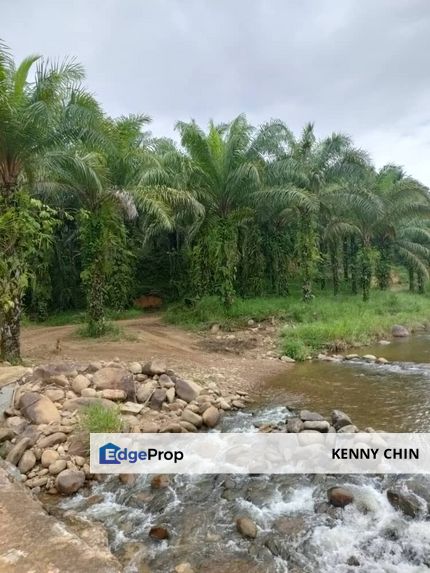 Oil Palm Land – Bongawan (CL 800 Title), Sabah, Bongawan